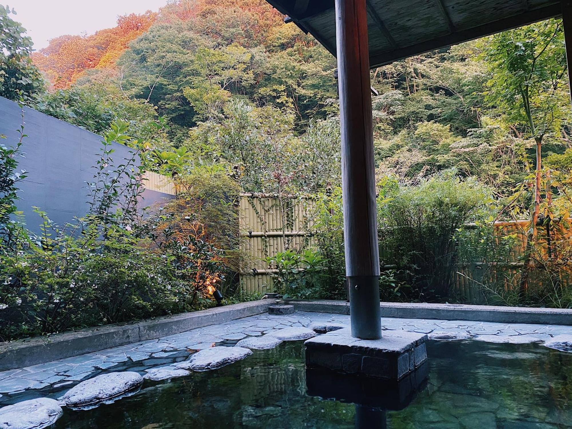 Onsen Guest House Tsutaya Hakone Kültér fotó